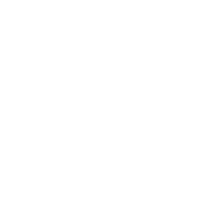 logo_storms-01